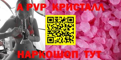 спайс Гай