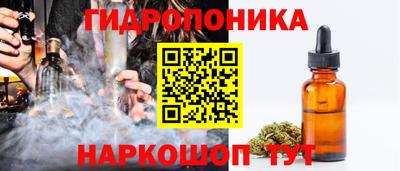 спайс Гай