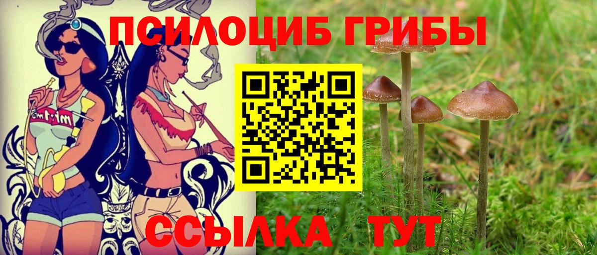 Псилоцибиновые грибы MAGIC MUSHROOMS  Вход с VPN  Магадан  Галлюциногенные грибы Magic Shrooms 