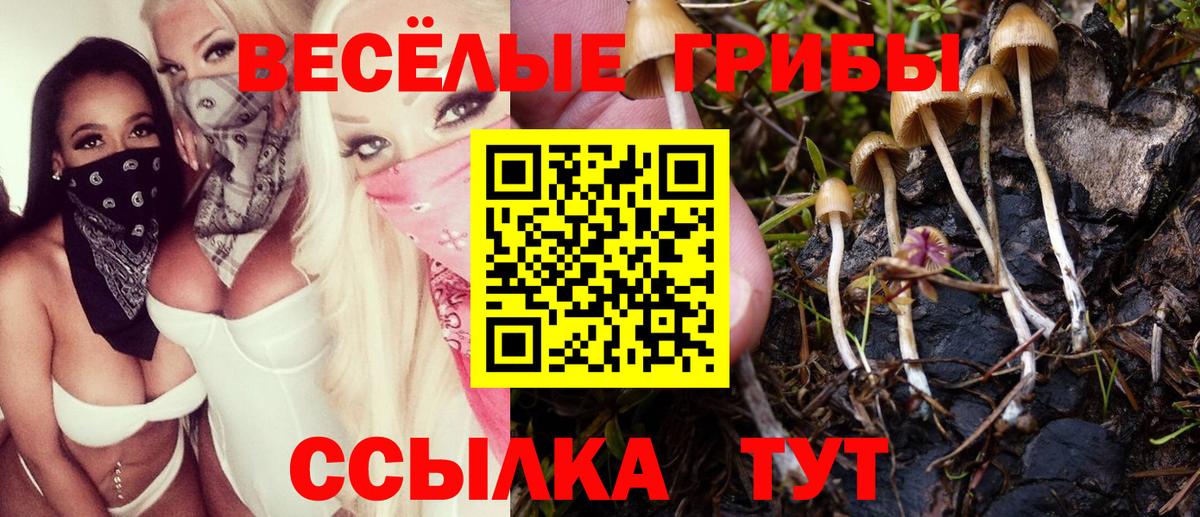 Галлюциногенные грибы Cubensis Магадан